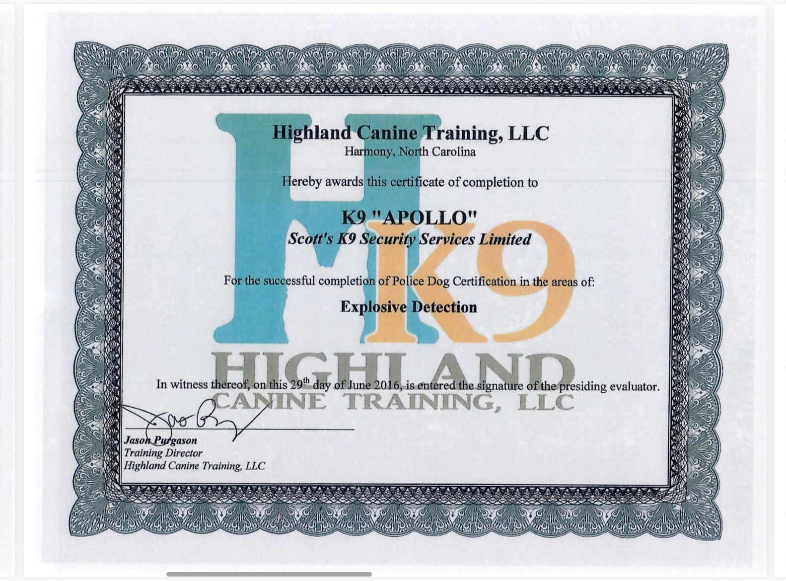 M&M Doggy Resort Certificate 4