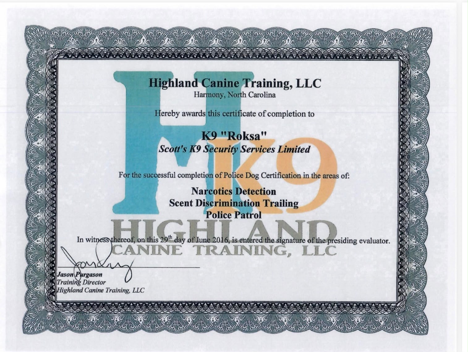 M&M Doggy Resort Certificate 5