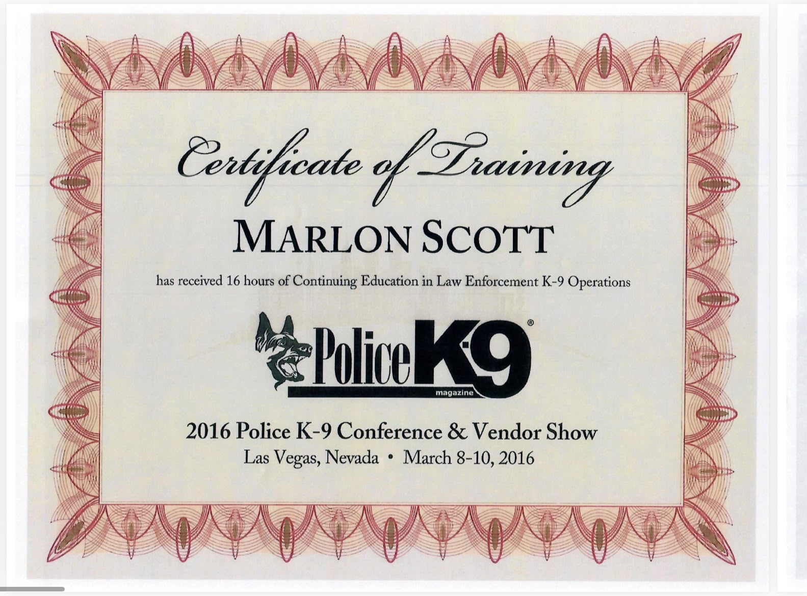 M&M Doggy Resort Certificate 7